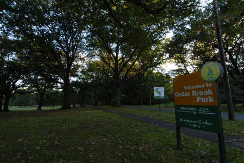 Cedar Brook Park