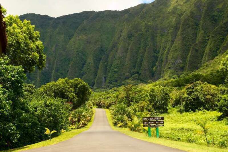 Ho'omaluhia Botanical Garden