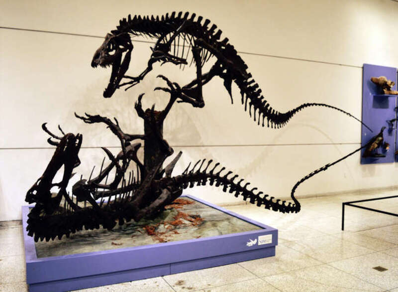Fighting Fossils