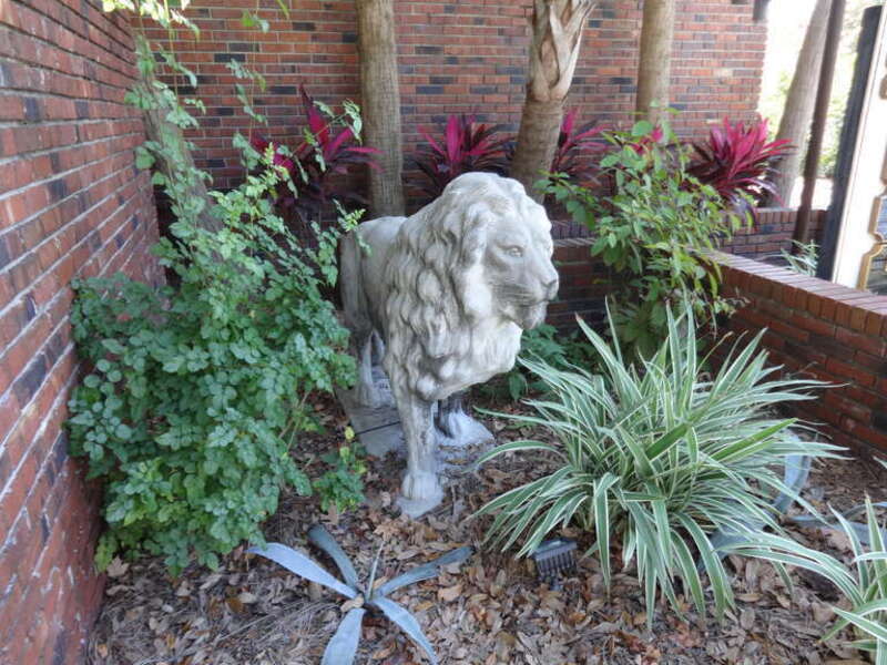 Lion statue, University Ave, Gainesville, Alachua County, Florida