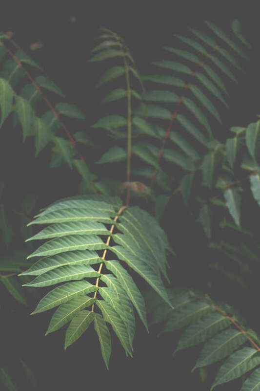 Lynchburg, United States