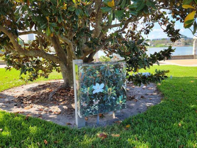 Magnolia grandiflora near Lake Mirror Promenade in Lakeland, Florida  painted on electrical box