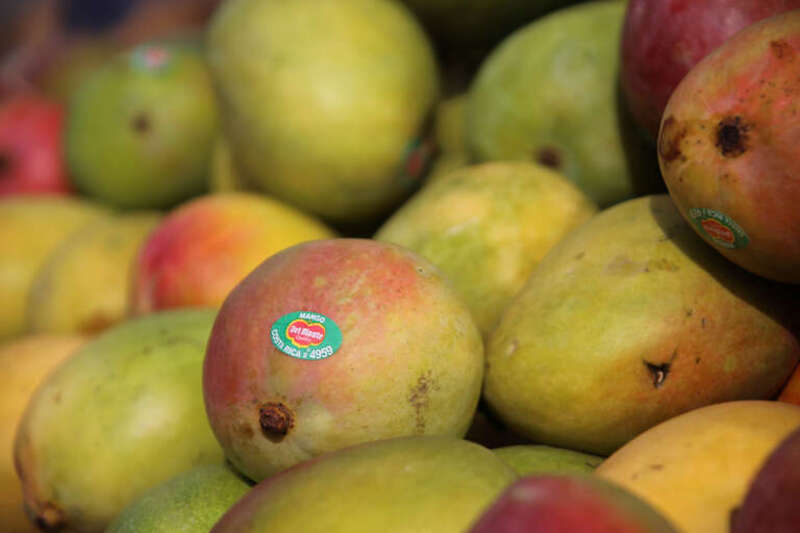 Mangos