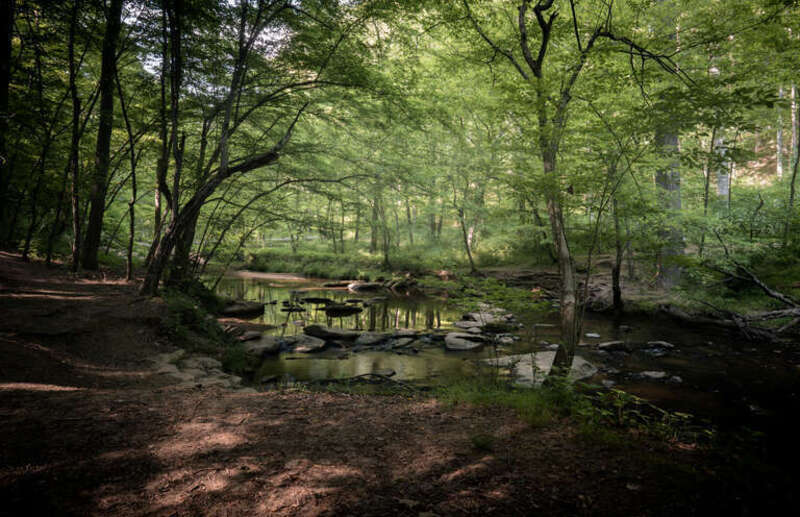I think I overdid it on this hike. I'm not a creature of warm weather and it was a little too hot for my liking today, and as I'm typing this out, I feel it.