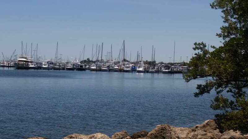 Miami Marina Coconut Grove