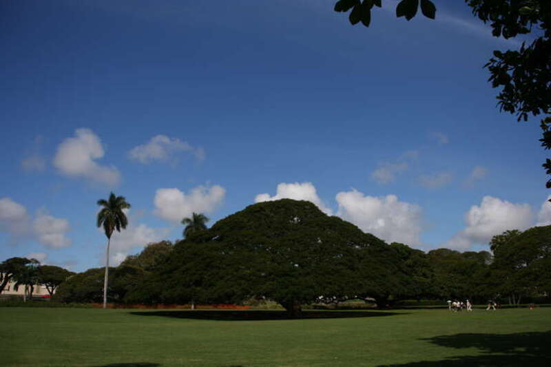 Moanalua Gargens