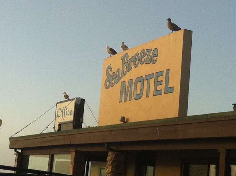 Nick's Sea Breeze Motel Pacifica California