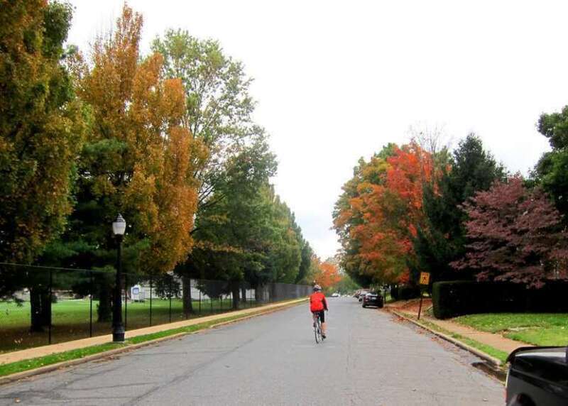 On Magnolia with Fall Colors