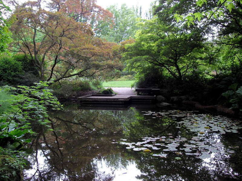 park pond pads