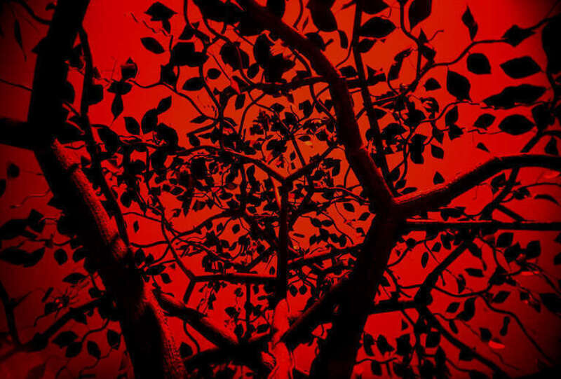 Redscale.