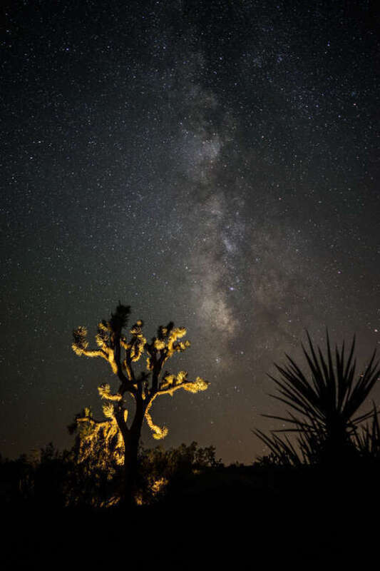 Joshua Tree, United States