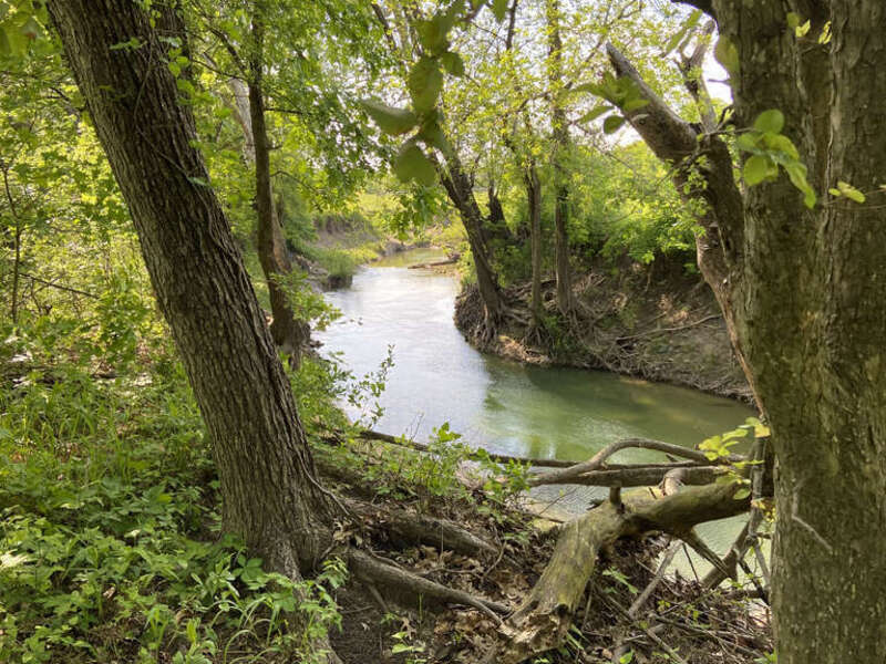 Overlooking Rowlett Creek in Oak Point Park &amp; Nature Preserve