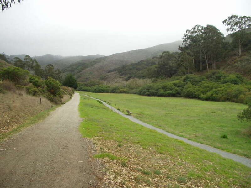 When I started out walking I thought that it was just foggy.  I realized I was wrong pretty quickly when it started to pour.  But I needed a walk and the fresh air so badly I just kept going.