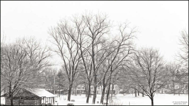 
500px provided description: The children come and go with the seasons but the trees are always there keeping watch. [#park ,#winter ,#cold ,#snow ,#b&amp;w]