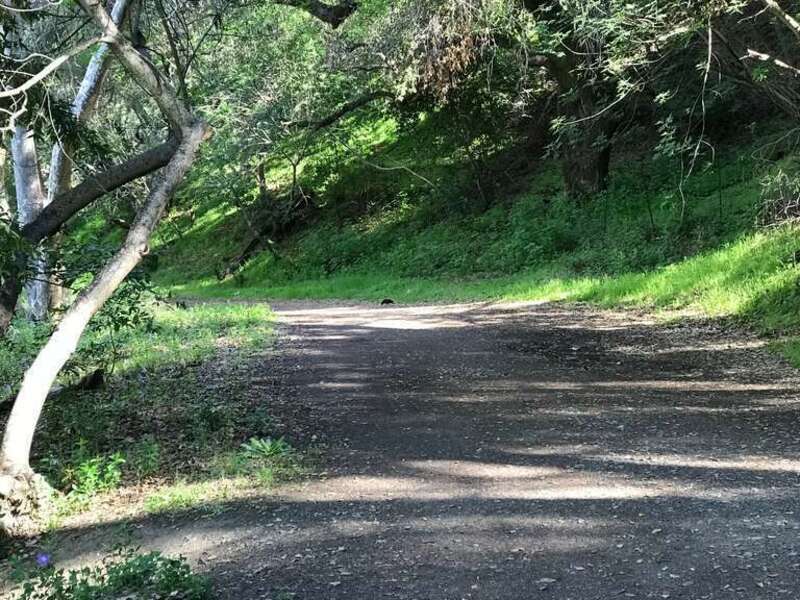 Stevens Creek County Park, CA