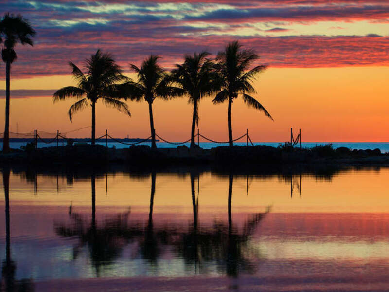 Matheson Hammock Park south of Miami is the perfect place to catch a sunrise.  It's a bay-water filled swimming pond separated from the bay by a palm-tree filled strip of land.
web sites using this