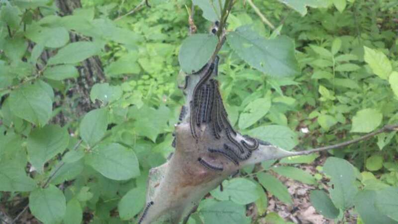 Taken in Michigan