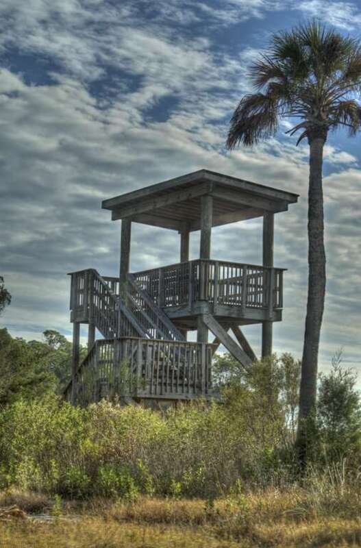 The Fort