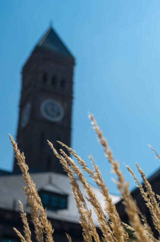 Grass sways in a summer breeze at the Old Courthouse Museum.