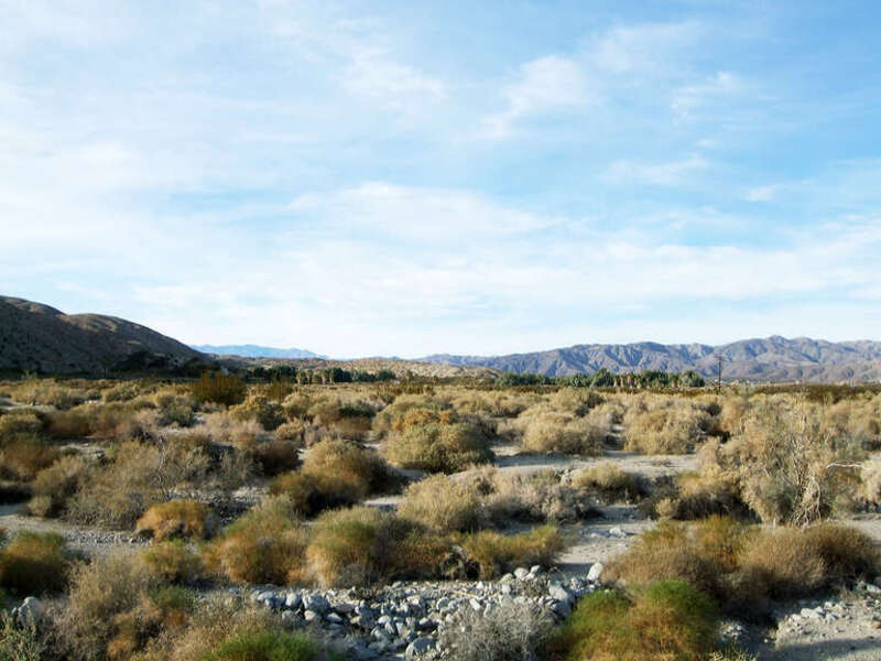 Thousand Palms (12.2010)