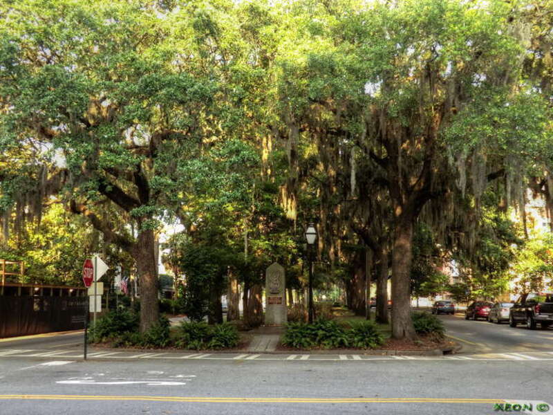 Trees