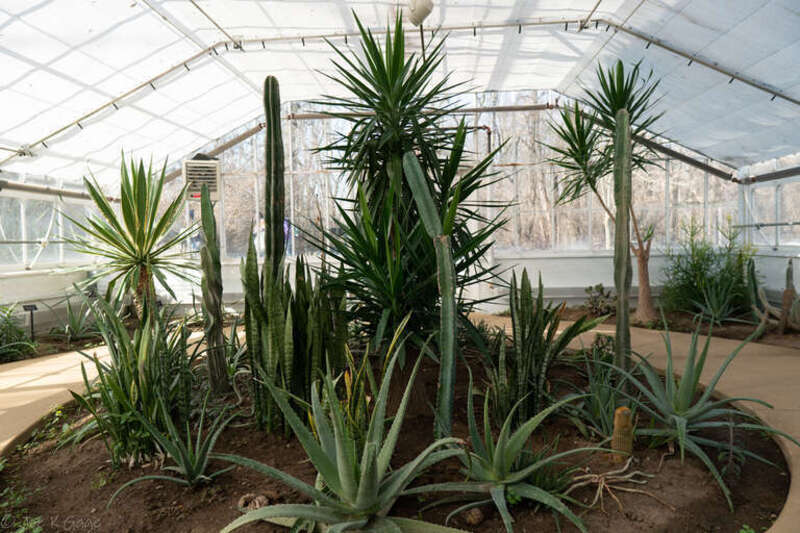 Bird Haven Greenhouse &amp; Conservatory, Joliet, IL
