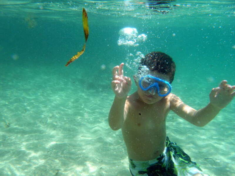 Under the Sea