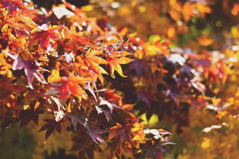 Urbana, United States