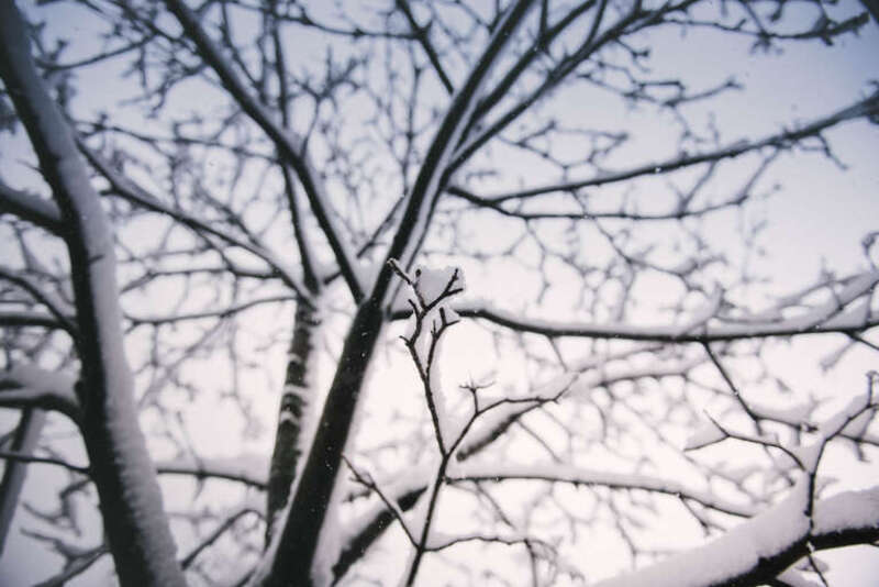 Charlestown, Boston, United States