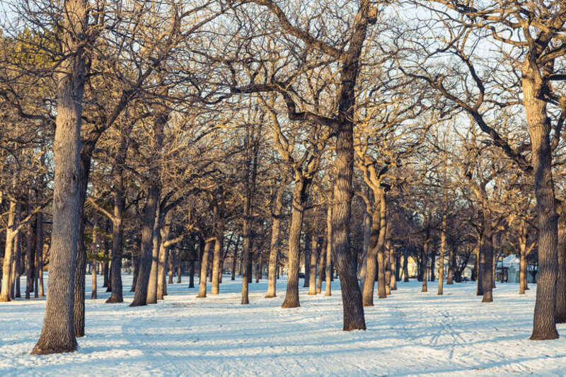 St. Cloud, Minnesota