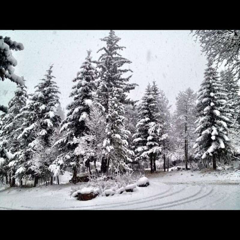 Winter wonderland