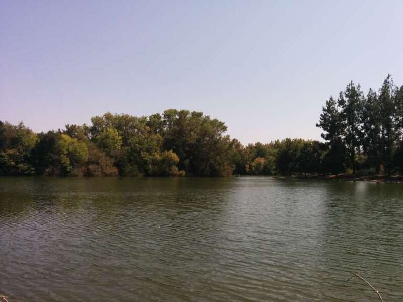Woodward Park en Fresno, California