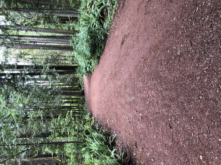 Beaver Lake Park, Sammamish, Washington
