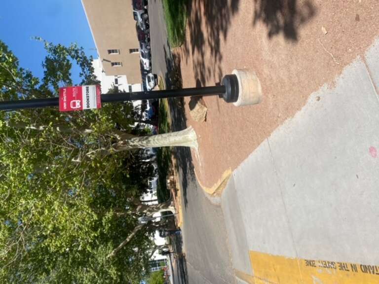 To display University of New Mexico landmarks around campus.