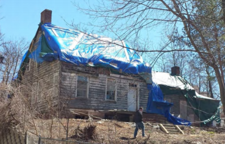 Collins House