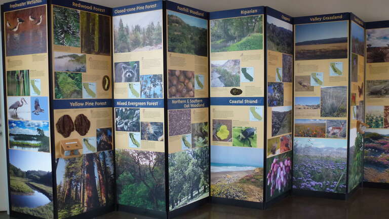 Environmental Nature Center, Newport Beach, CA - ecosystem display