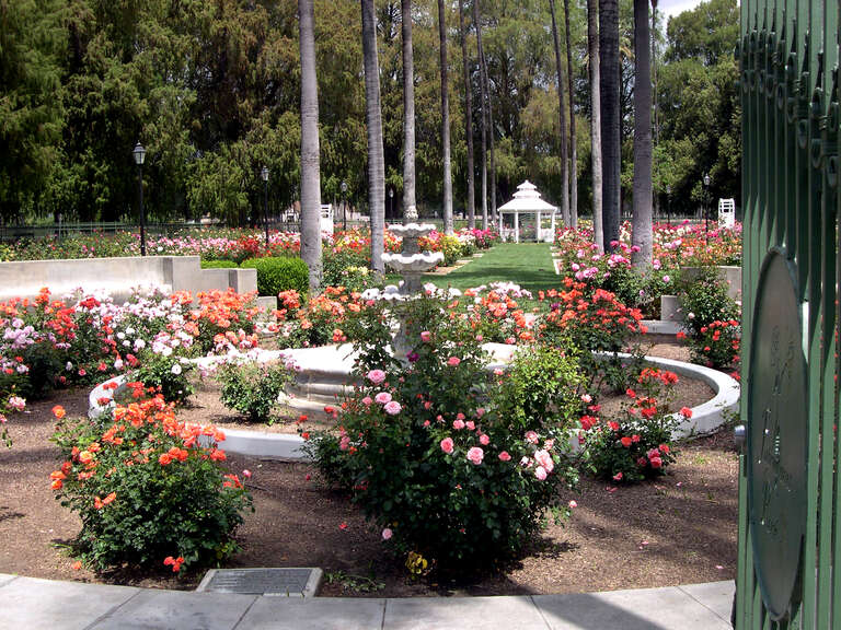 Rose Garden, Fairmount Park, Riverside, California, USA