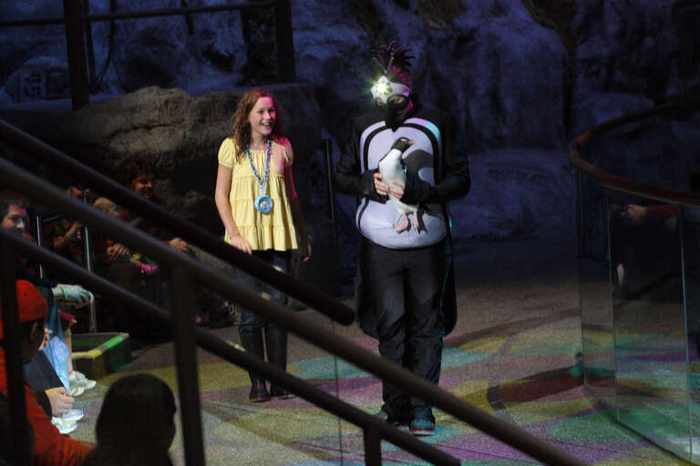 A moment in the November 15, 2009 2:00pm "Fantasea" aquatic show at Shedd Aquarium in Chicago, Illinois, from a set of 55 images.

Camera location41° 52′ 03.47″ N, 87° 36′ 47.71″ W View this and other nearby images on: OpenStreetMap 41.867631;