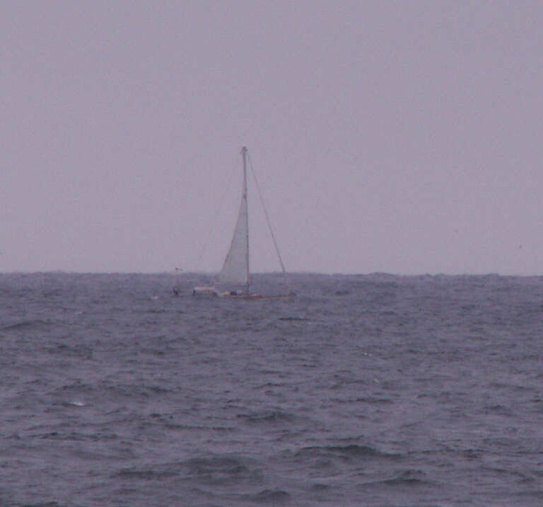 Sailboat being bounced around by waves in the Atlantic Ocean off of Asbury Park, NJ.  You can hardly see the boat for the waves.  He had four cop cars, four fire engines and 2 ambulances following him.  Wouldn't a coast guard boat or perhaps a