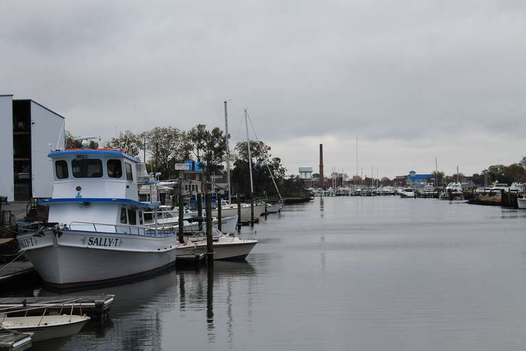 Hampton Marinas