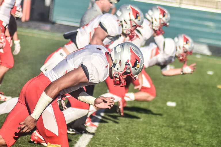 Mentor Cardinals