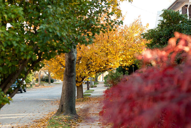 
500px provided description: New England Fall [#trees ,#leaf ,#season ,#seasonal ,#colorful ,#suburbs ,#rhode island ,#Fall ,#New England ,#Foilage]