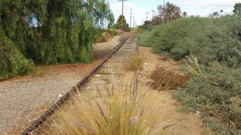 Abandoned rail north of F Street.