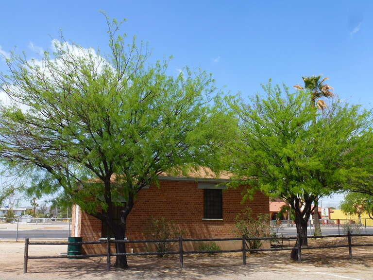 Tucson Rodeo &amp; Parade Museum