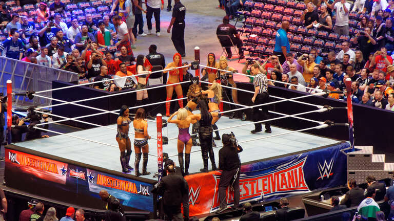 WrestleMania 32 was the thirty-second annual WrestleMania professional wrestling pay-per-view (PPV) event produced by WWE. It took place on April 3, 2016, at AT&amp;T Stadium in Arlington, Texas. Twelve matches were contested on the card (with three