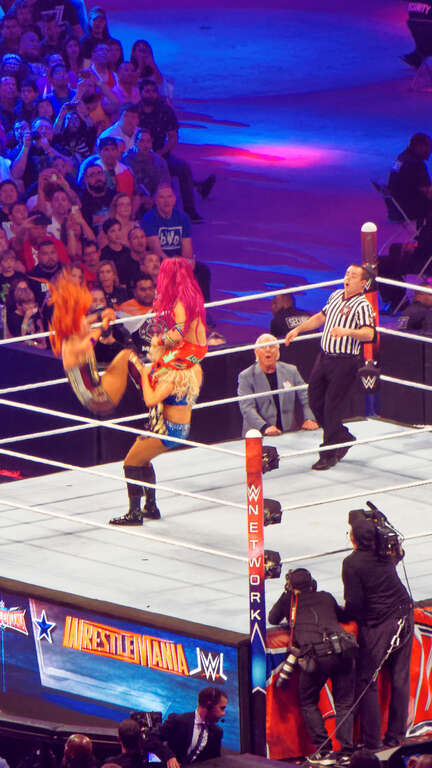 WrestleMania 32 was the thirty-second annual WrestleMania professional wrestling pay-per-view (PPV) event produced by WWE. It took place on April 3, 2016, at AT&amp;T Stadium in Arlington, Texas. Twelve matches were contested on the card (with three
