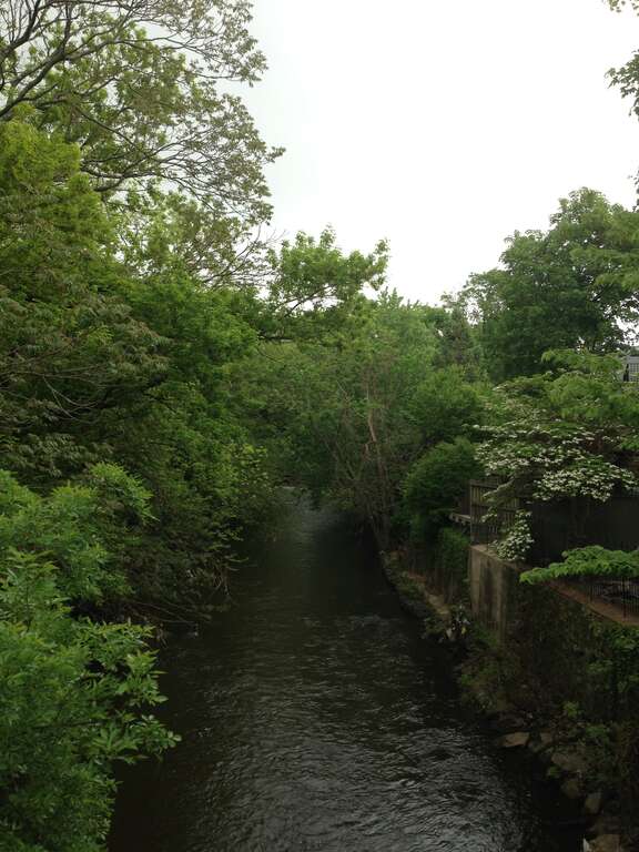 View up the Assunpink Creek from Montgomery Street in Trenton, New Jersey