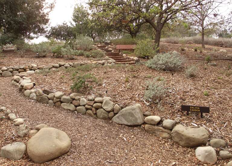 The salvia garden at the Conejo Valley Botanical Gardens in Thousand Oaks, California.