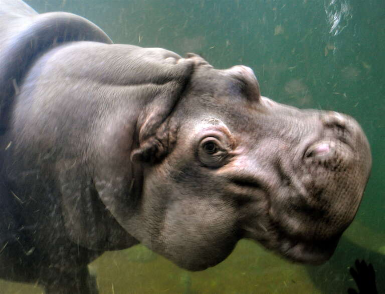 At the Adventure Aquarium in Camden, N.J.