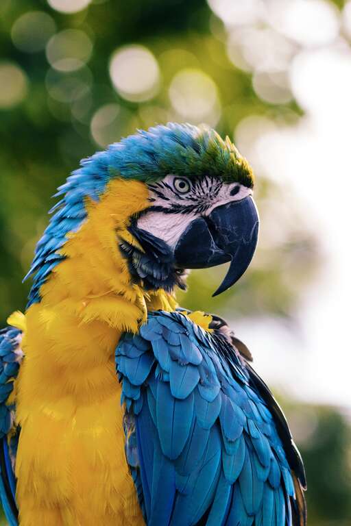 West Palm Beach, United States